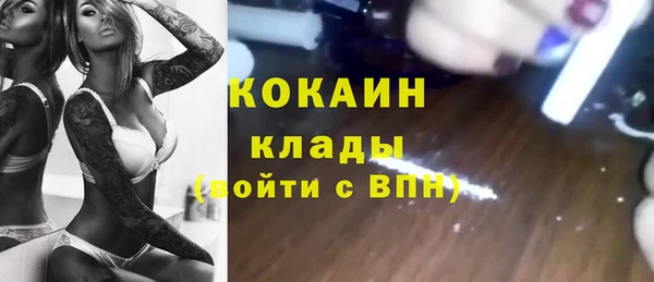 дживик Алзамай