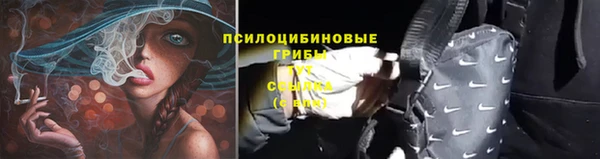 таблы Алексеевка