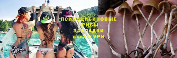 дживик Алзамай