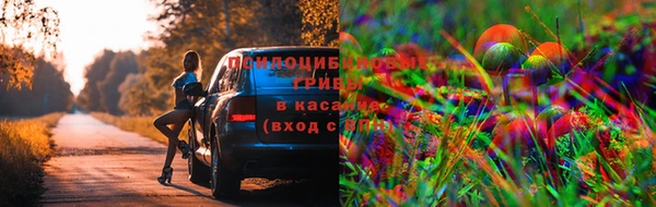 экстази Алексин